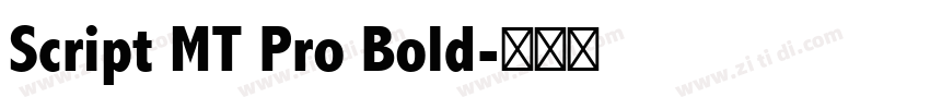 Script MT Pro Bold字体转换 Script MT Pro Bold字体转换